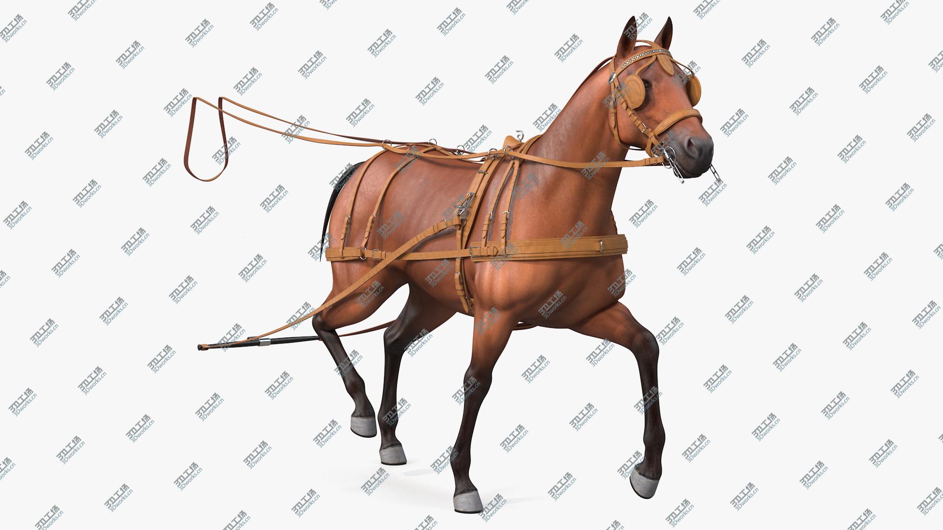 images/goods_img/202104093/3D model Horse Drawn Leather Harness Walking Pose/1.jpg